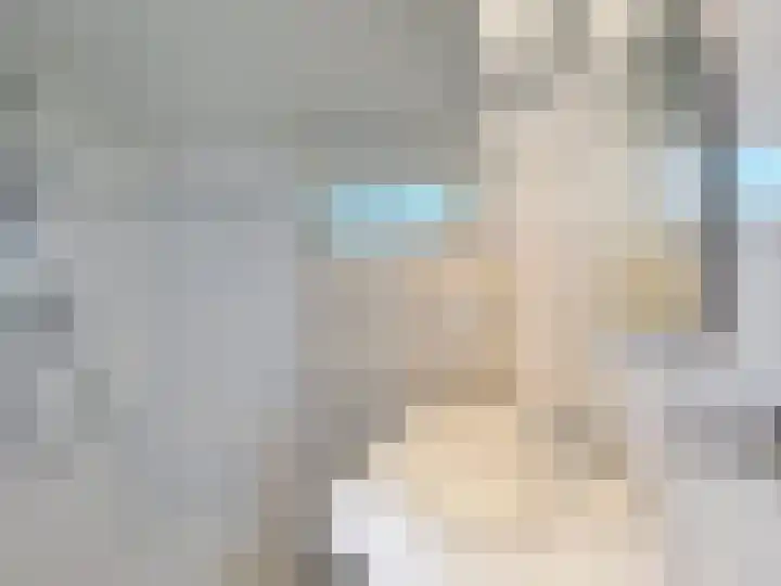 Dokter Broodmanstraat 14 Breskens thumbnail 17