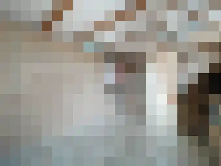 Dokter Broodmanstraat 14 Breskens thumbnail 18