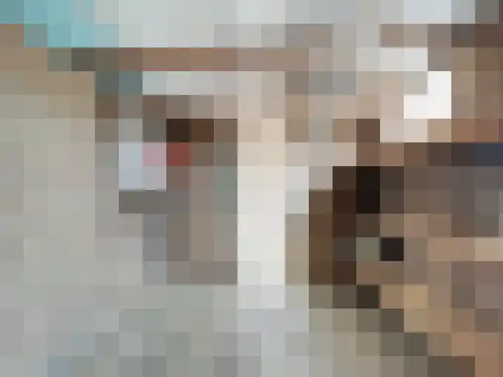 Dokter Broodmanstraat 14 Breskens thumbnail 19