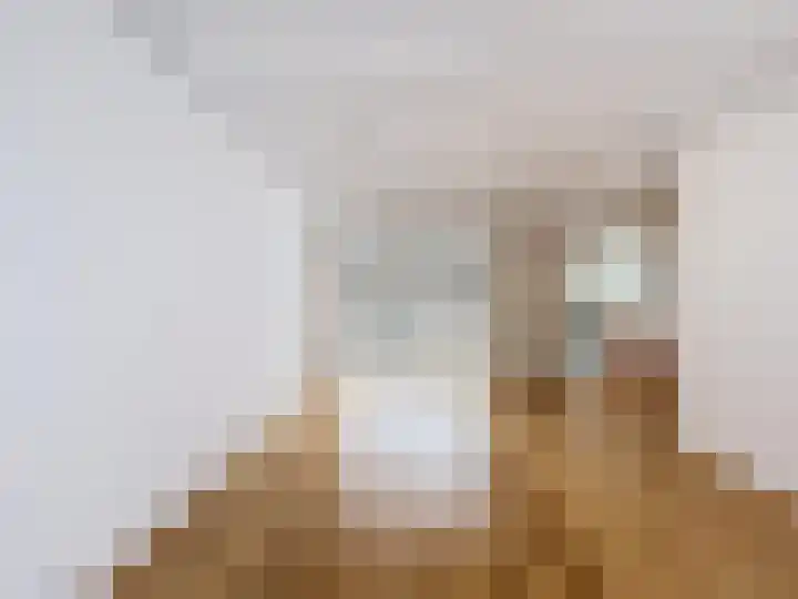 Dokter Broodmanstraat 14 Breskens thumbnail 8