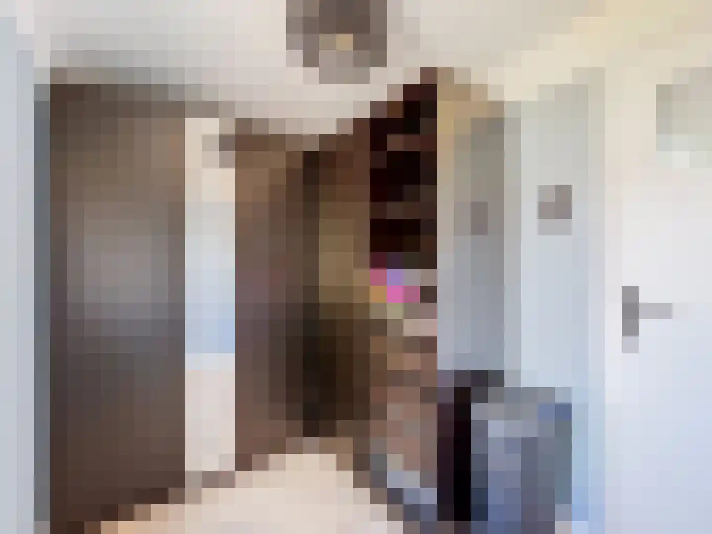 Dokter Broodmanstraat 41 Breskens thumbnail 22