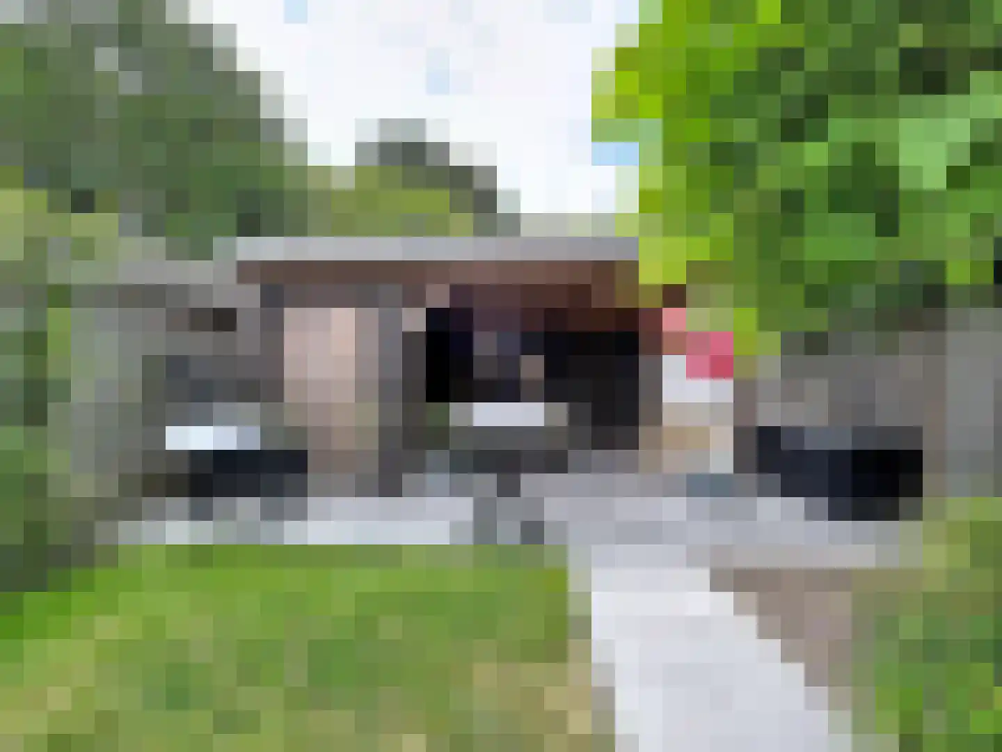 Dokter Broodmanstraat 41 Breskens thumbnail 25