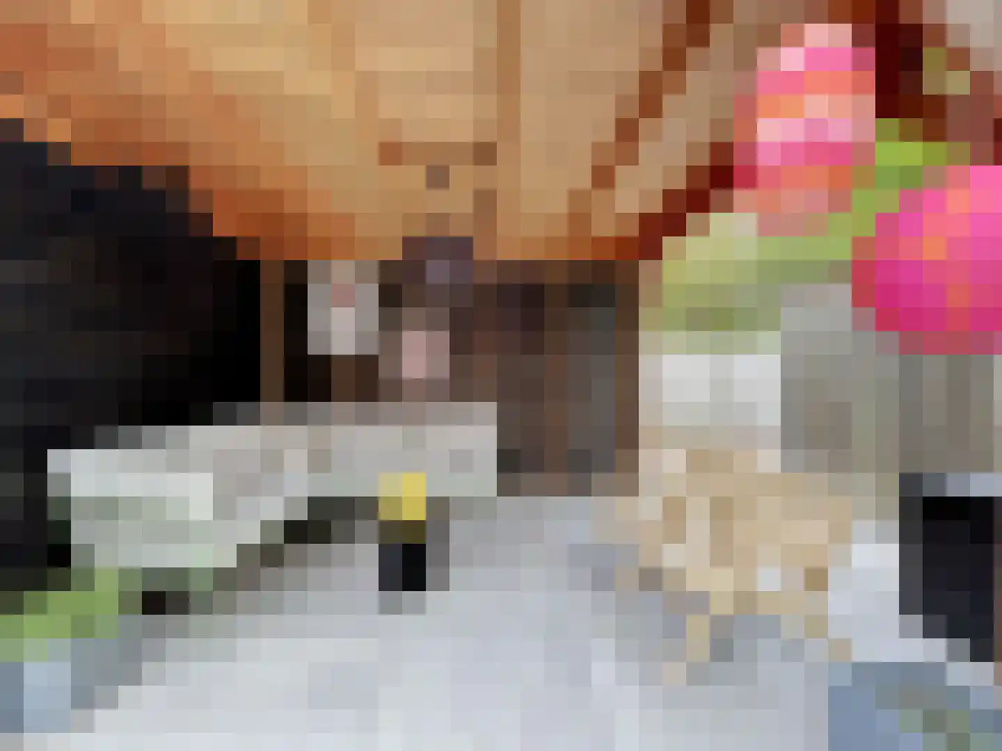 Dokter Broodmanstraat 41 Breskens thumbnail 27