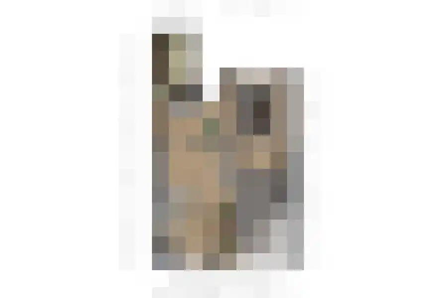 Dokter Broodmanstraat 41 Breskens thumbnail 32