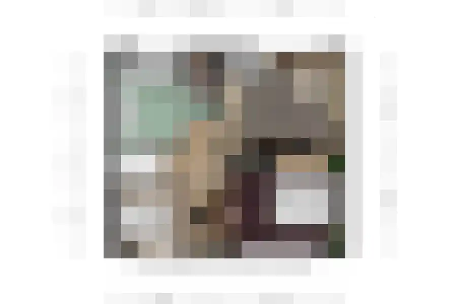 Dokter Broodmanstraat 41 Breskens thumbnail 33