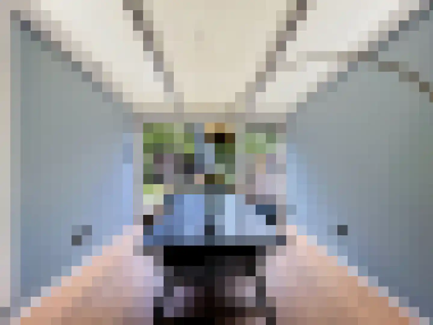 Dokter Broodmanstraat 41 Breskens thumbnail 7