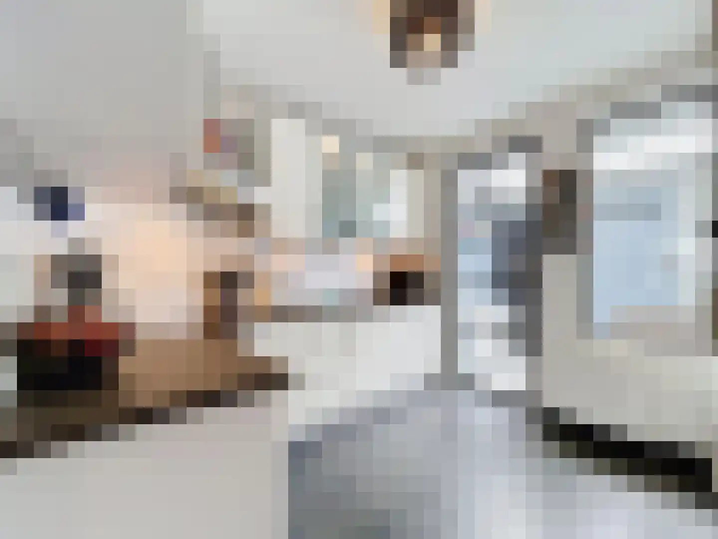 Dokter Broodmanstraat 41 Breskens thumbnail 9