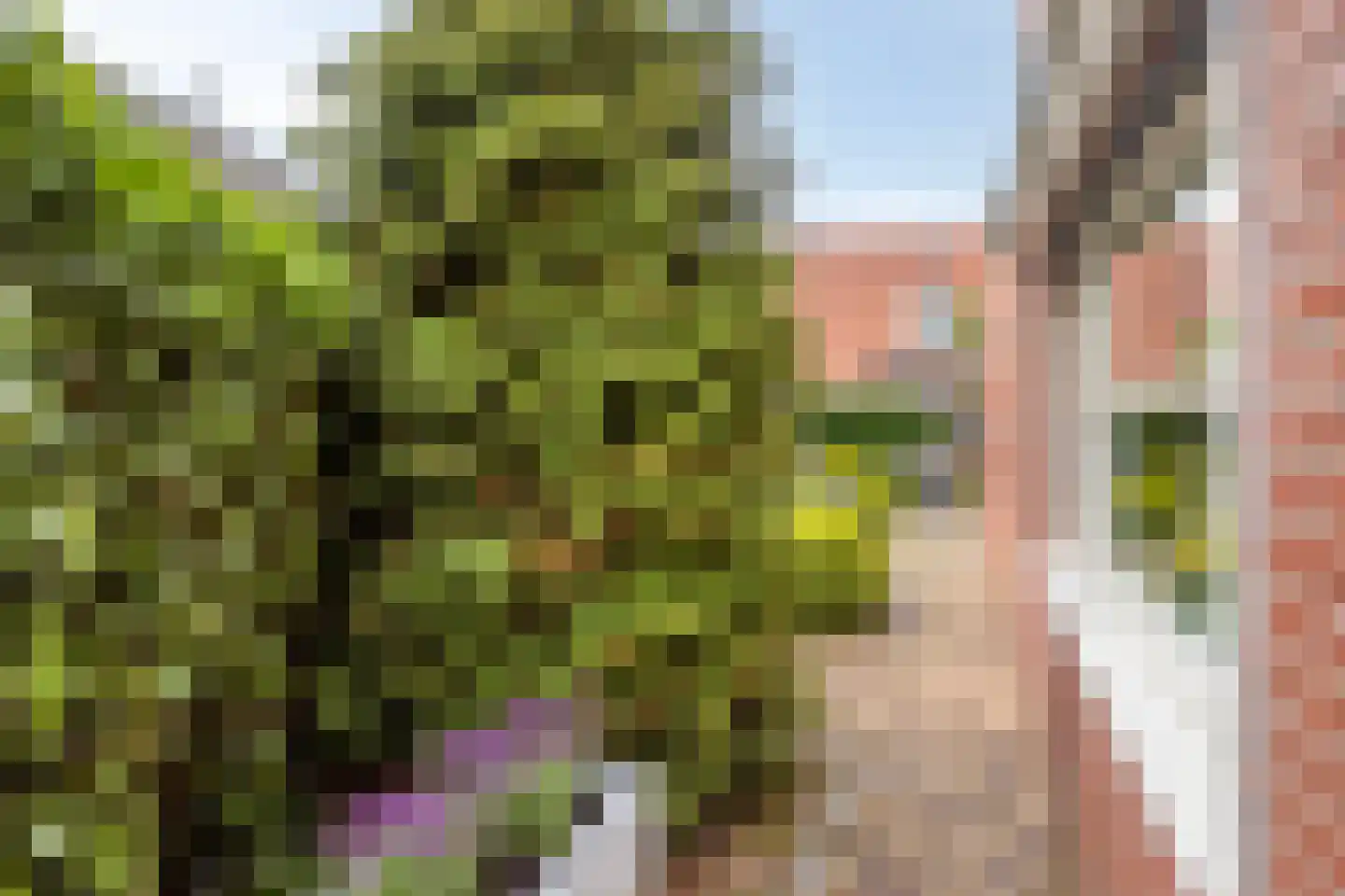 Dokter Brugmanstraat 118 Uitgeest thumbnail 31