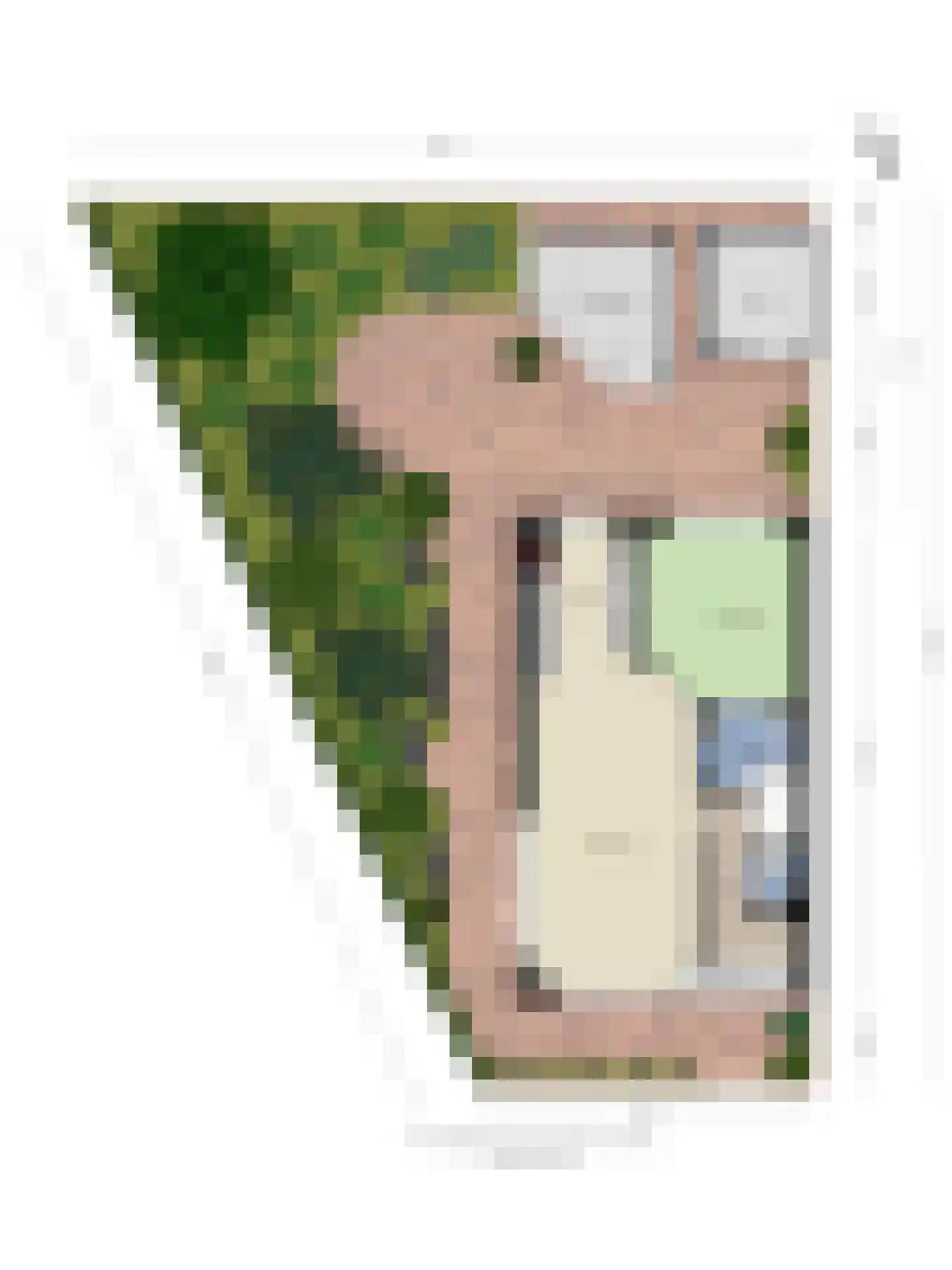 Dokter Brugmanstraat 118 Uitgeest thumbnail 42