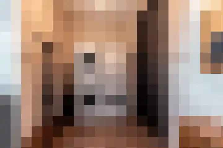Dokter Bruinsweg 18 Doornspijk thumbnail 20