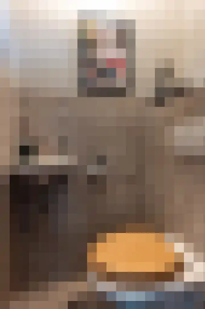 Dokter Bruinsweg 18 Doornspijk thumbnail 23