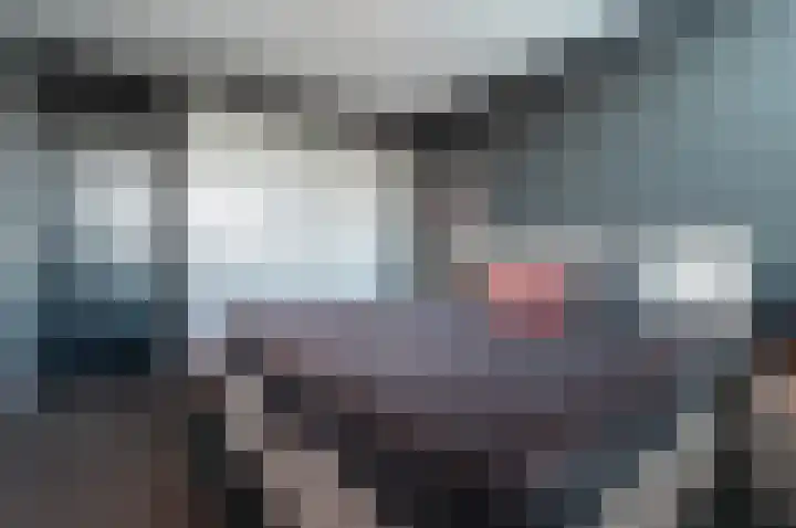 Dokter Bruinsweg 18 Doornspijk thumbnail 31