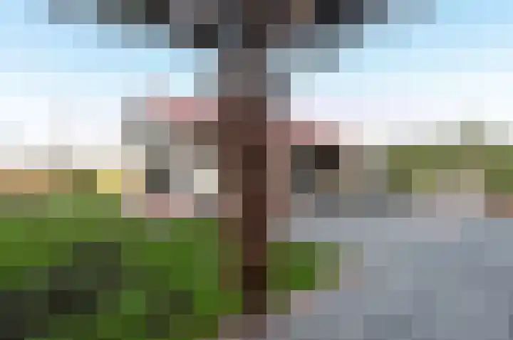 Dokter Bruinsweg 18 Doornspijk thumbnail 44