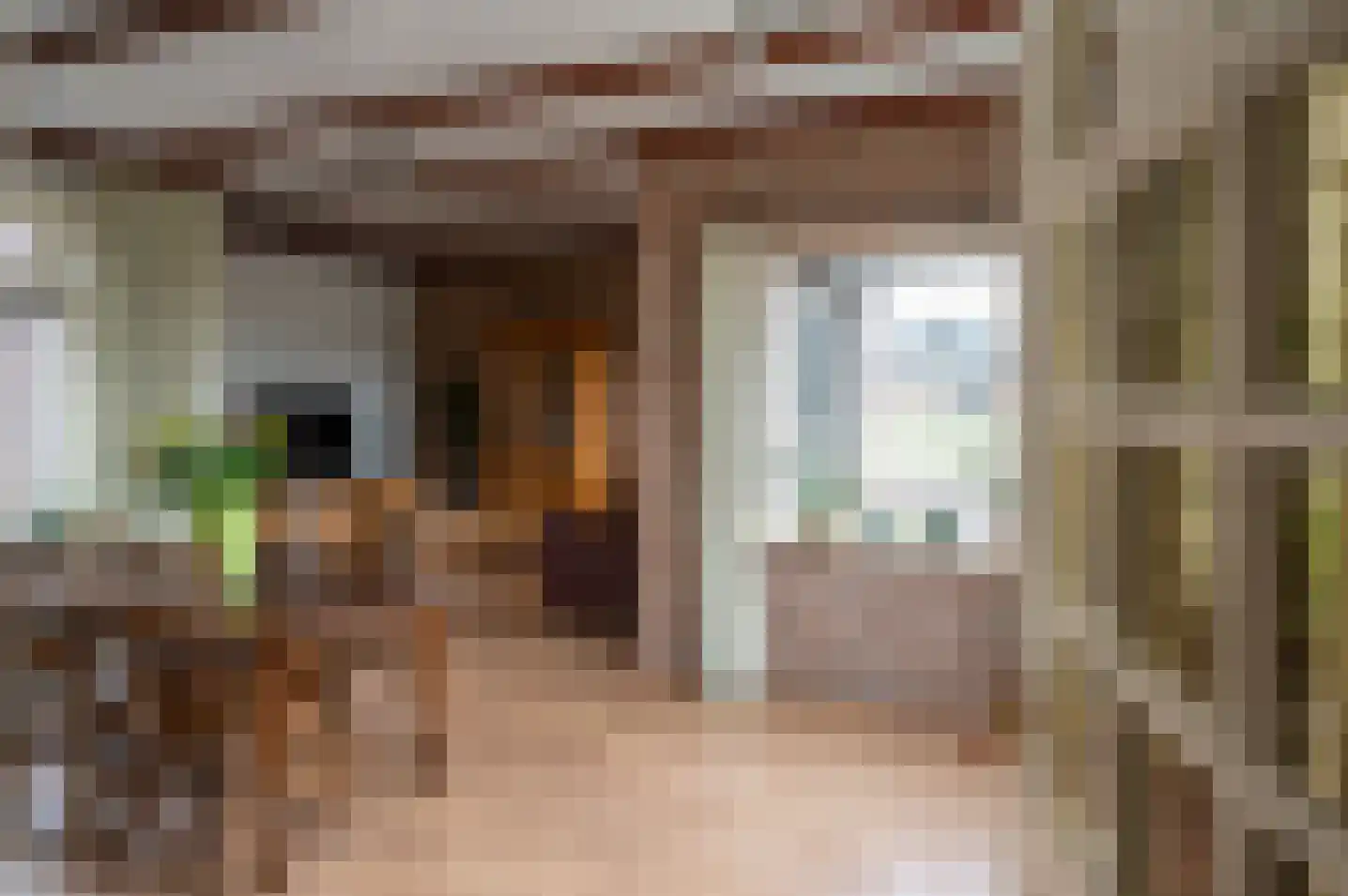 Dokter C Lulofsweg 2 Vorden thumbnail 11