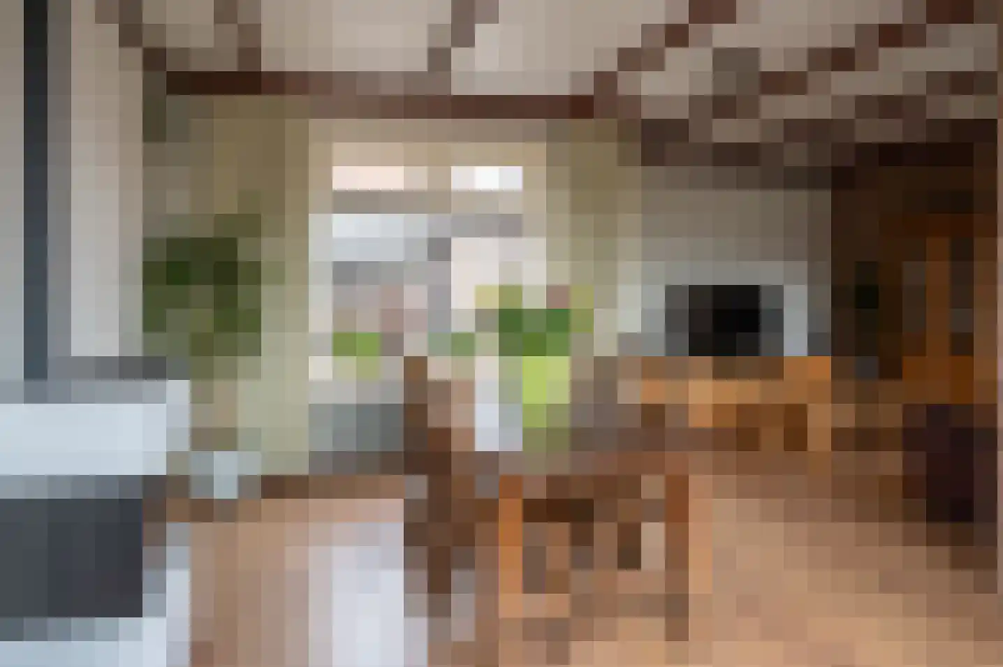 Dokter C Lulofsweg 2 Vorden thumbnail 12