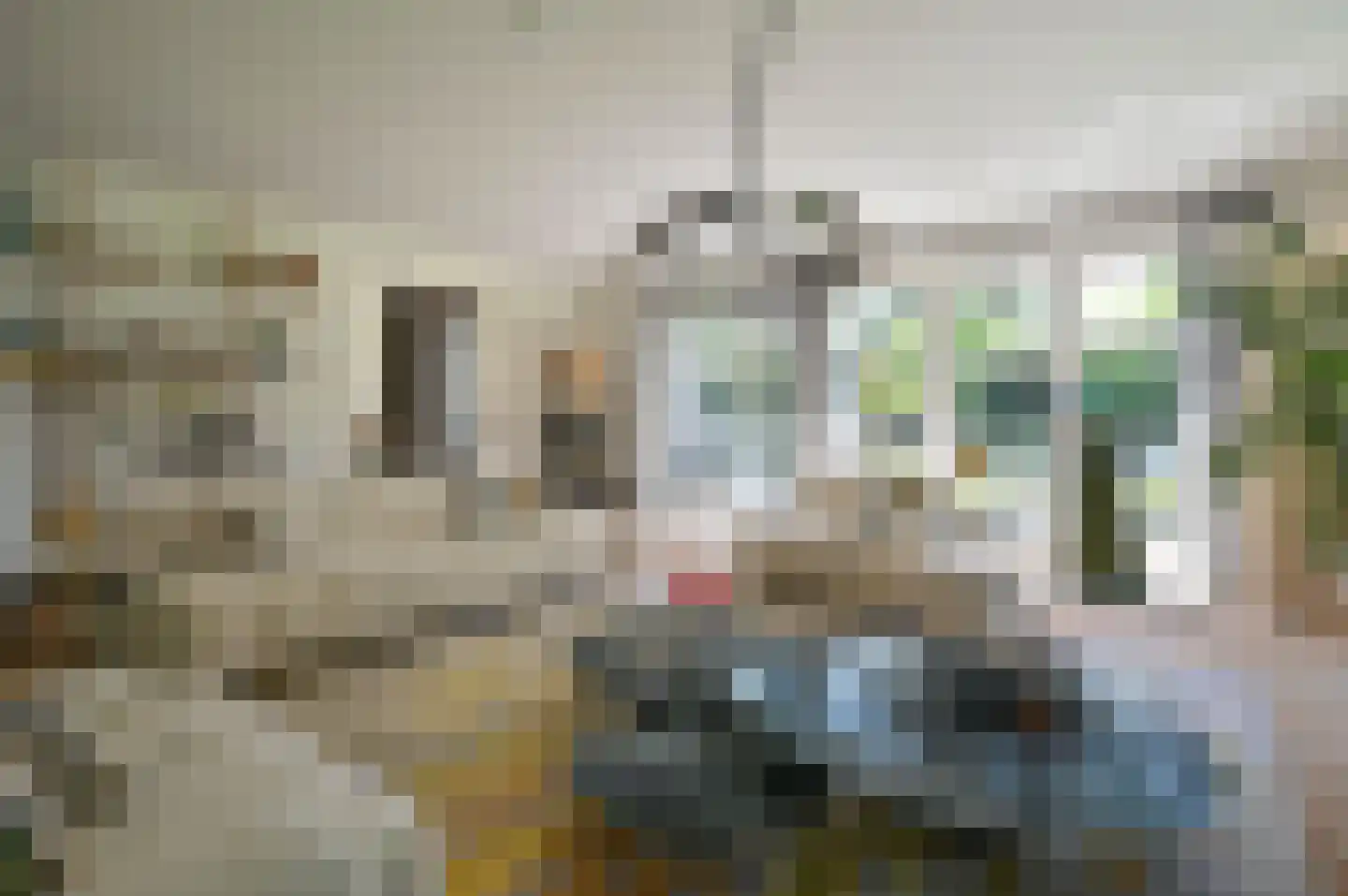 Dokter Catzlaan 27 Blaricum thumbnail 13