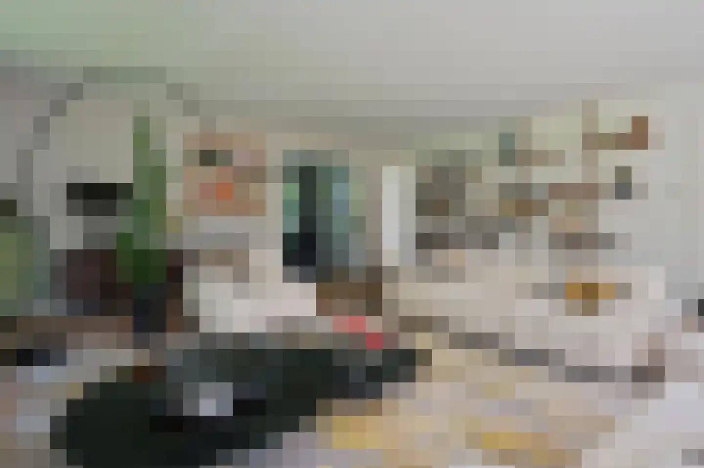 Dokter Catzlaan 27 Blaricum thumbnail 14