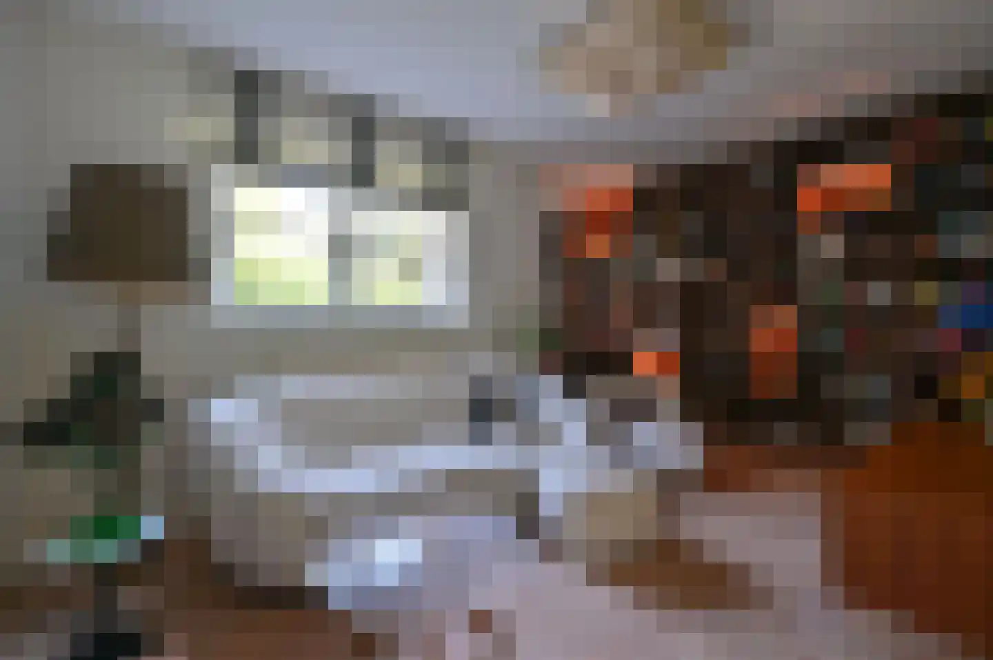 Dokter Catzlaan 27 Blaricum thumbnail 26