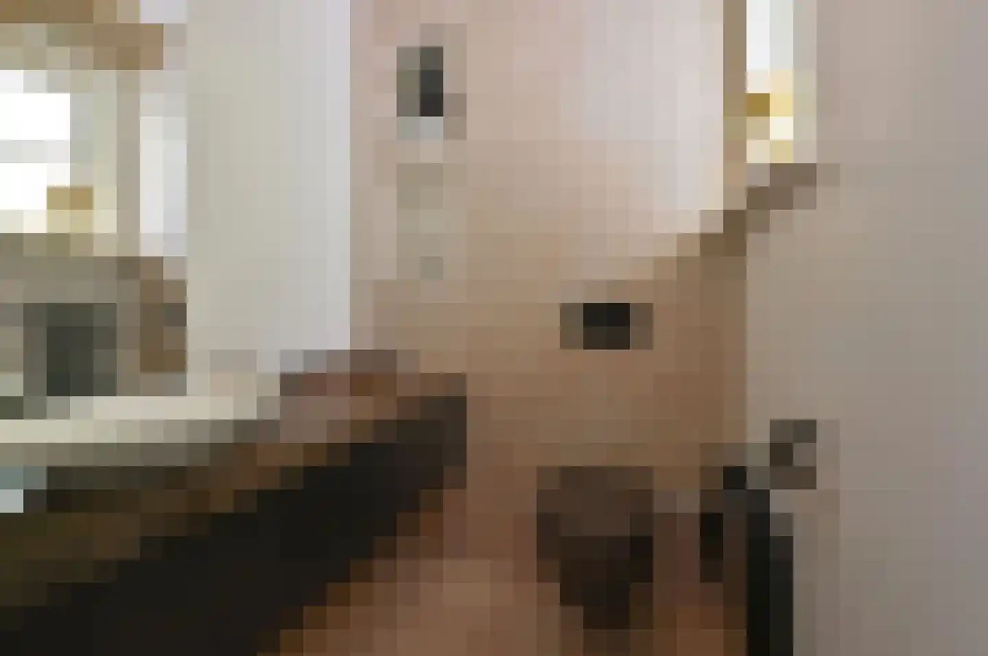 Dokter Catzlaan 27 Blaricum thumbnail 27