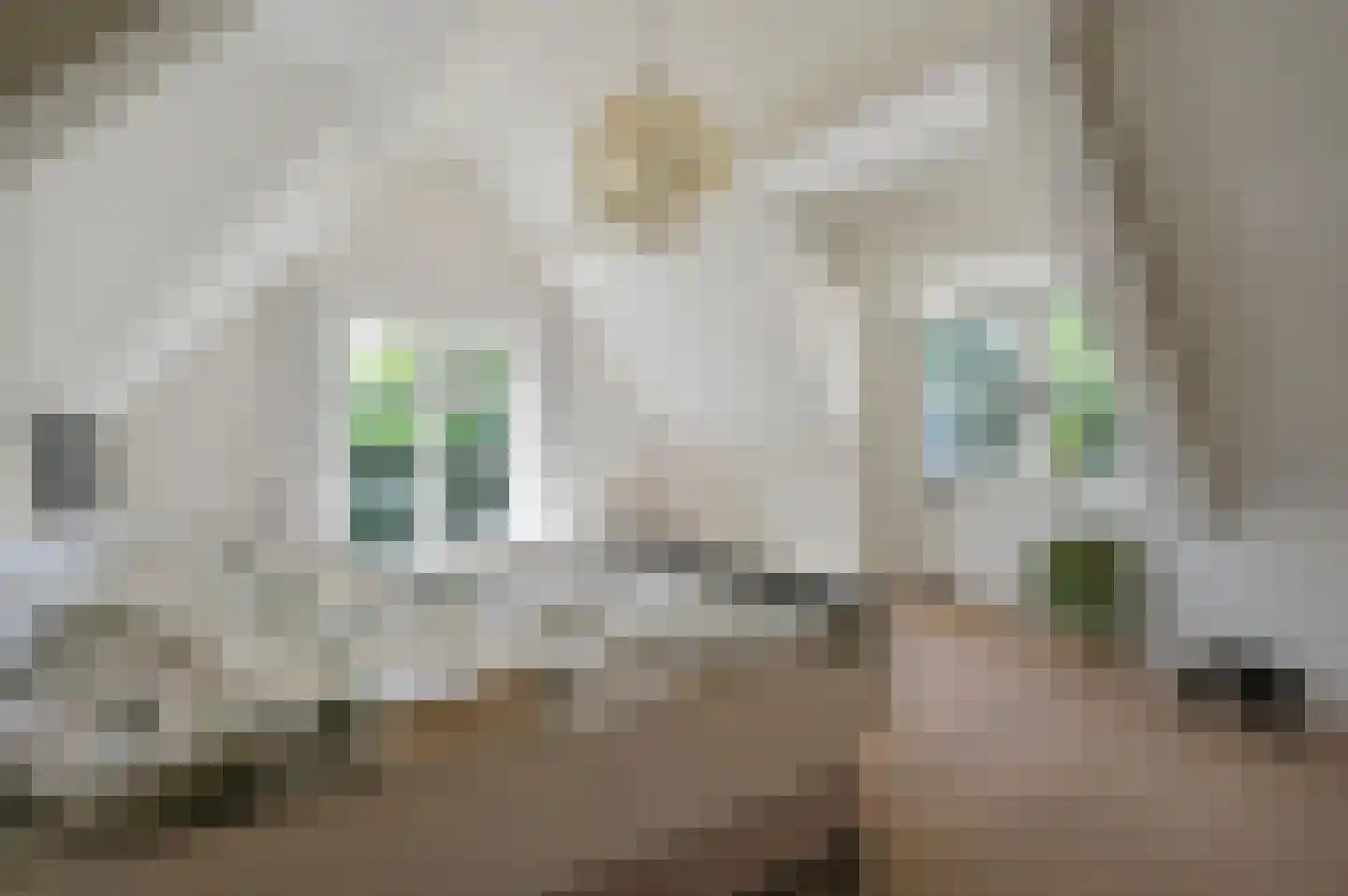Dokter Catzlaan 27 Blaricum thumbnail 31