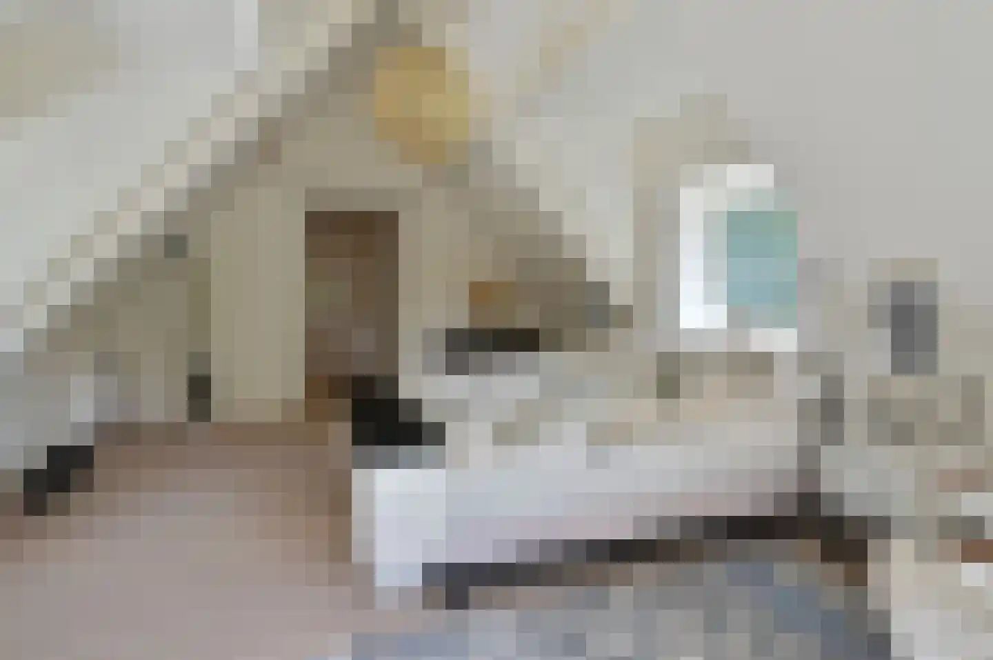 Dokter Catzlaan 27 Blaricum thumbnail 32