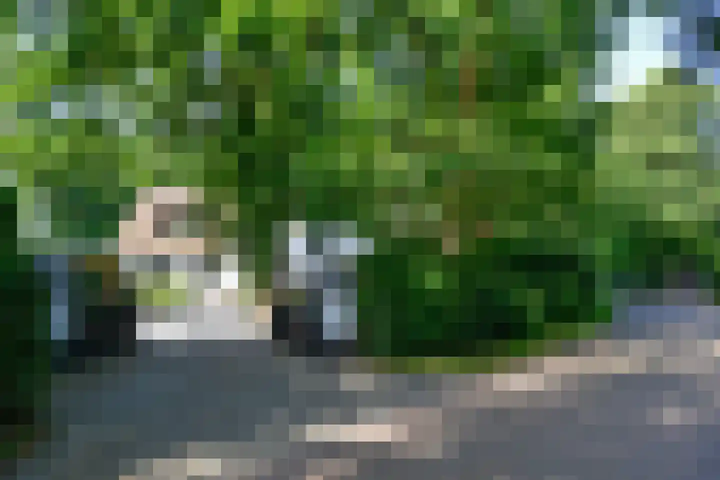 Dokter Catzlaan 27 Blaricum thumbnail 4