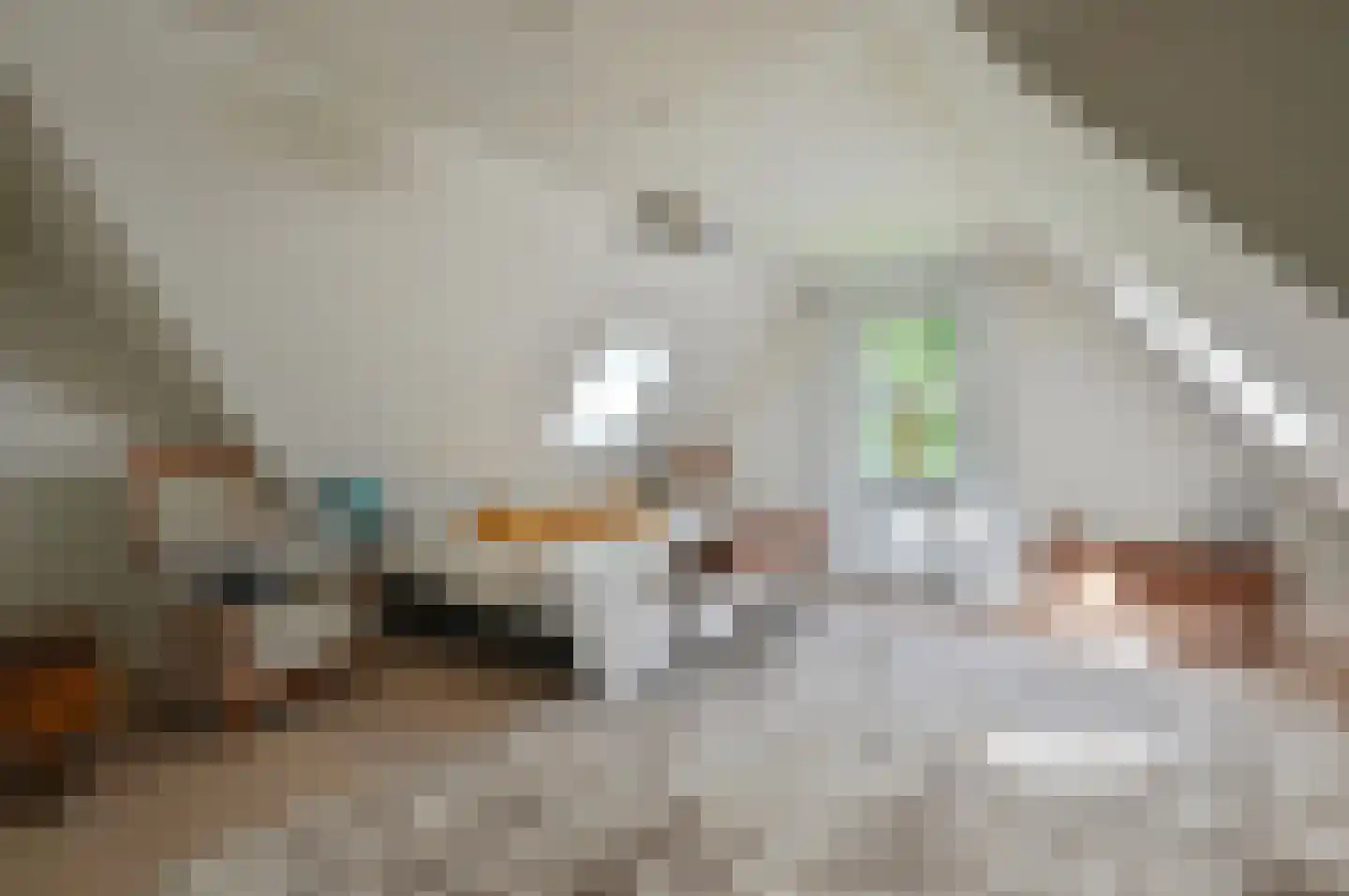 Dokter Catzlaan 27 Blaricum thumbnail 42