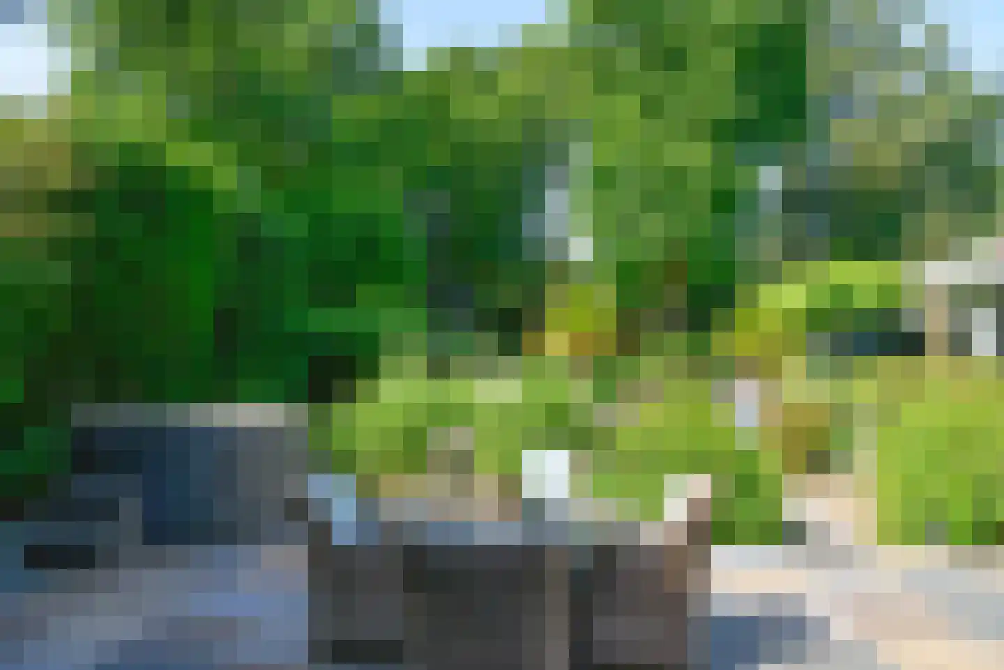 Dokter Catzlaan 27 Blaricum thumbnail 60