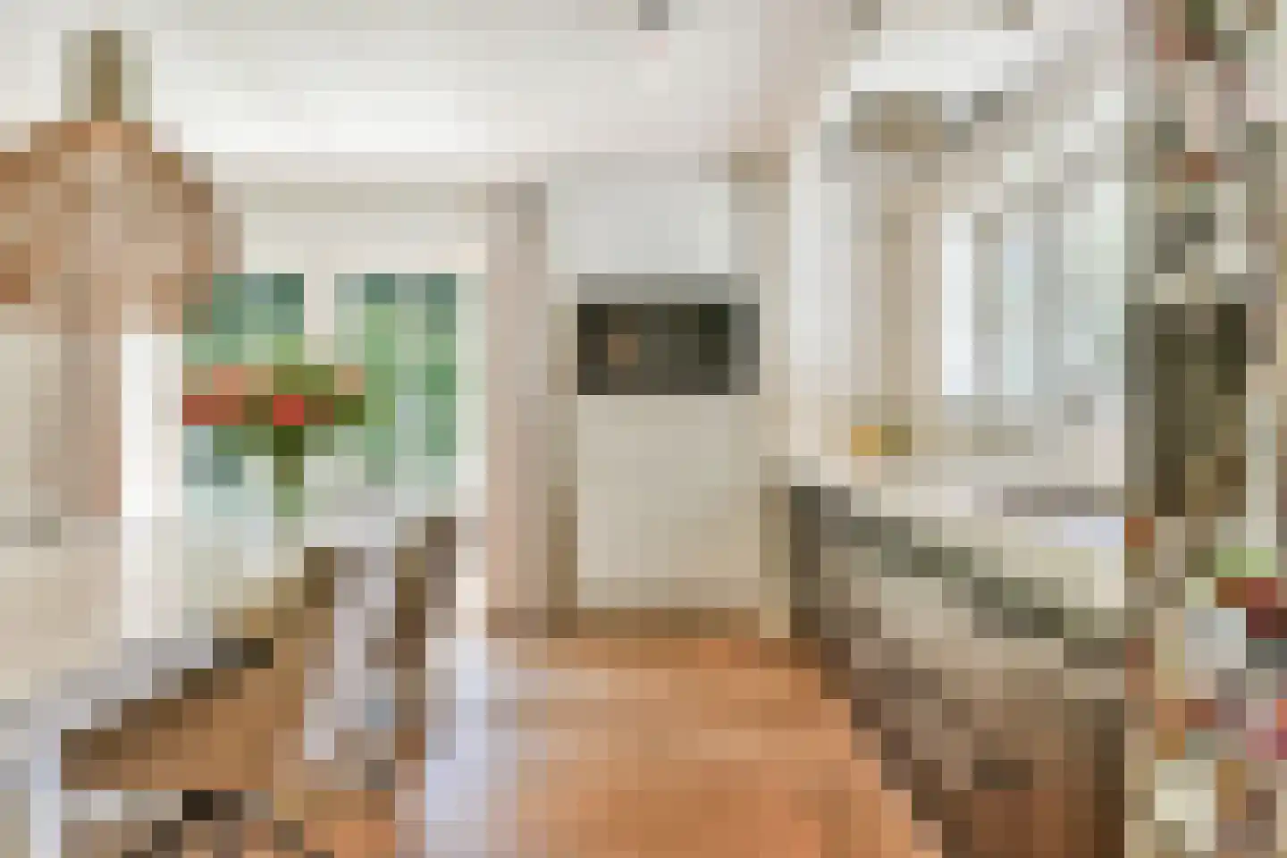 Dokter Catzlaan 3 Blaricum thumbnail 11