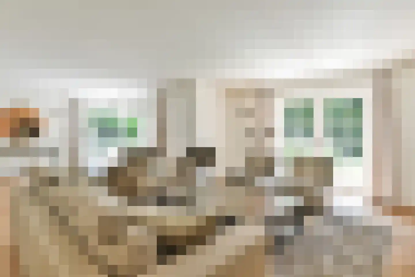 Dokter Catzlaan 3 Blaricum thumbnail 15