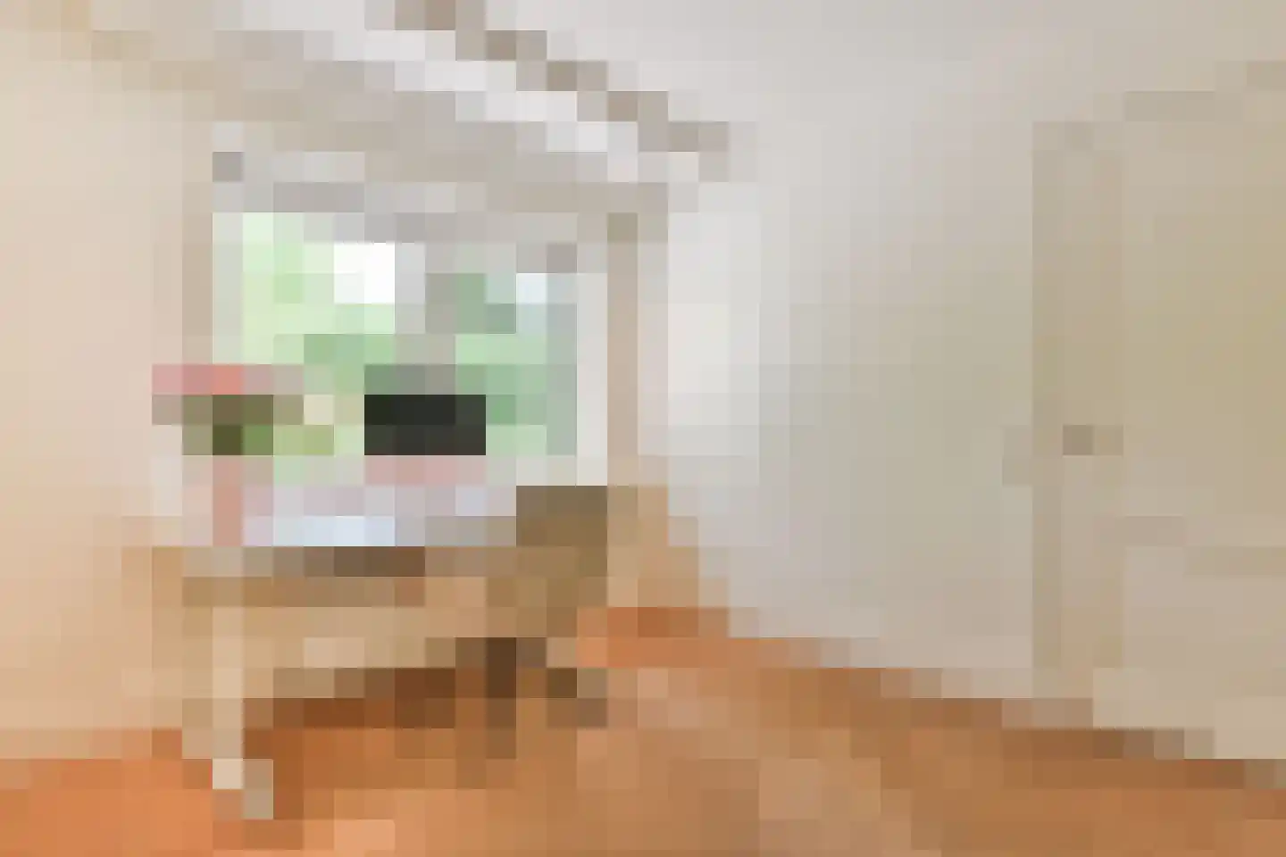 Dokter Catzlaan 3 Blaricum thumbnail 22