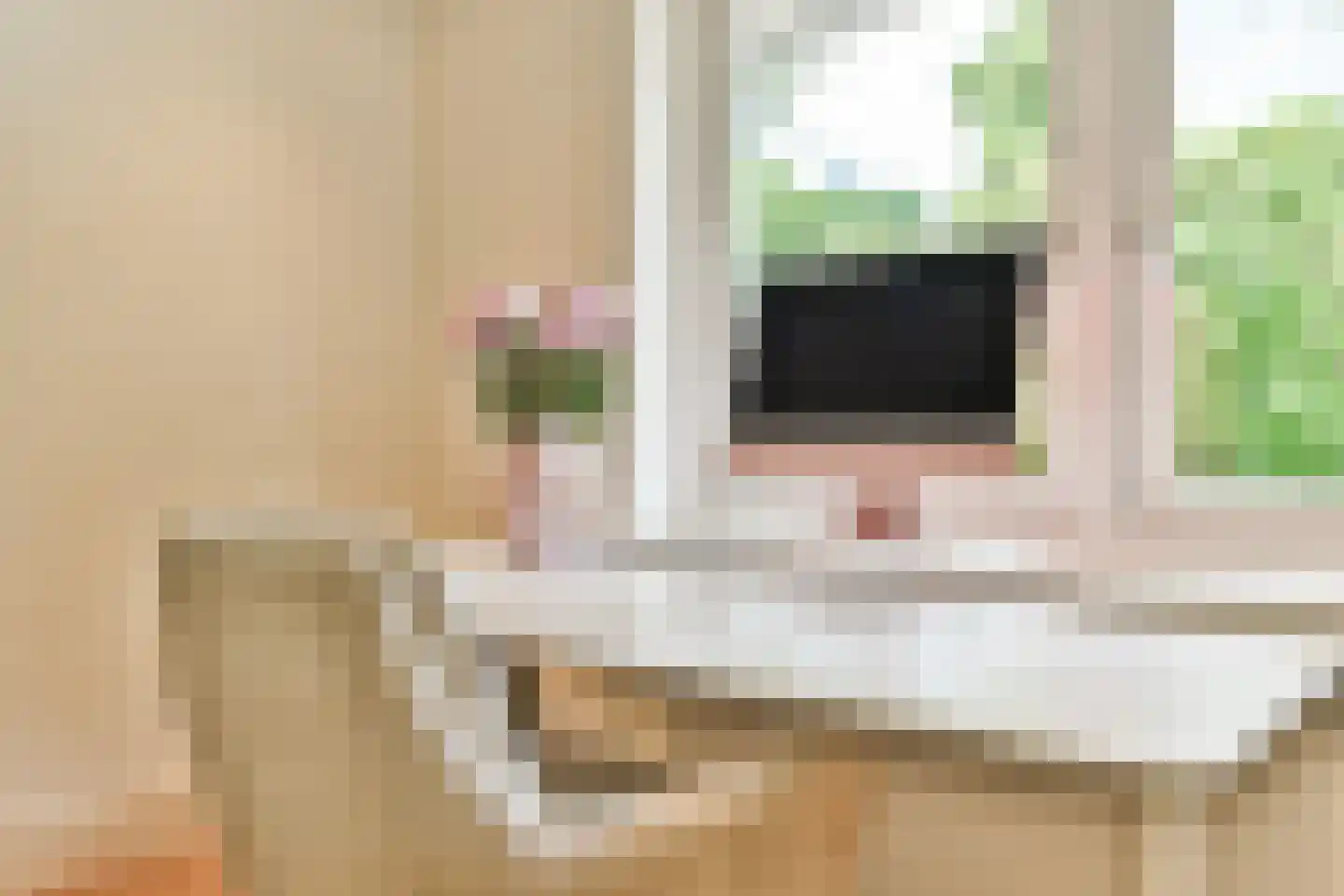 Dokter Catzlaan 3 Blaricum thumbnail 23
