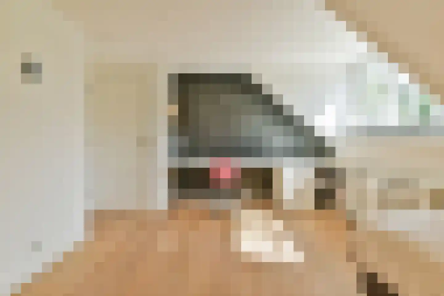 Dokter Catzlaan 3 Blaricum thumbnail 29