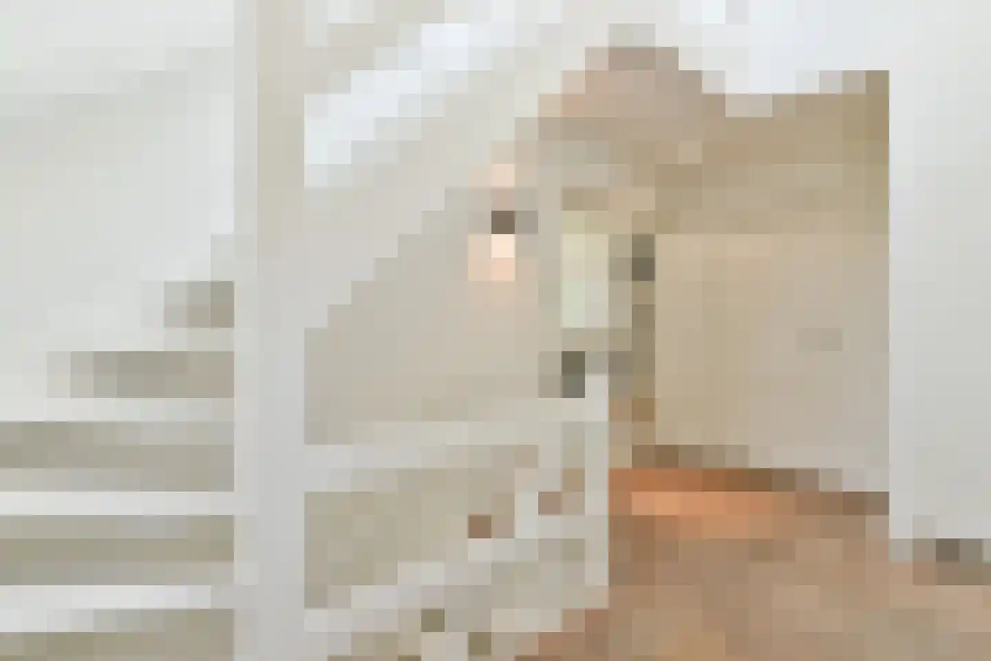 Dokter Catzlaan 3 Blaricum thumbnail 33