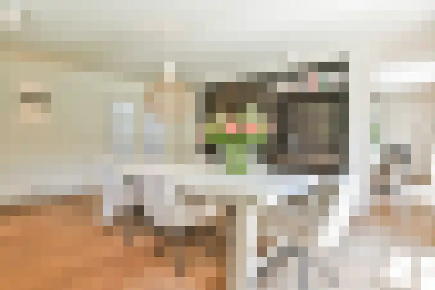 Dokter Catzlaan 3 Blaricum thumbnail 8