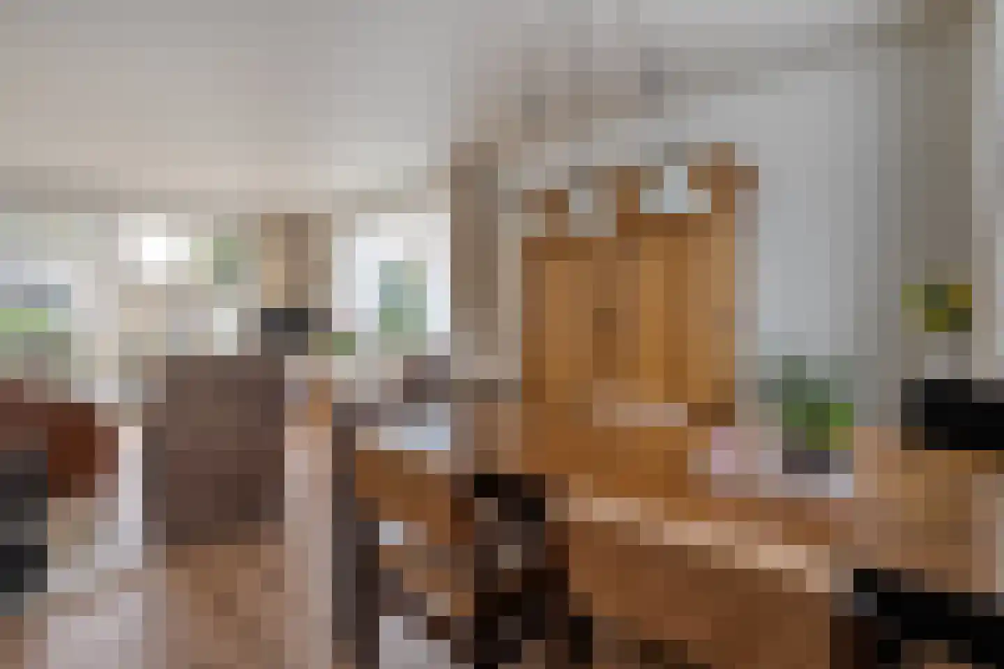 Dokter Christiaansplein 14 Dalen thumbnail 14