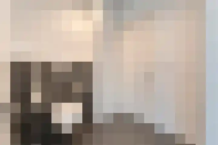 Dokter Christiaansplein 15 Dalen thumbnail 20
