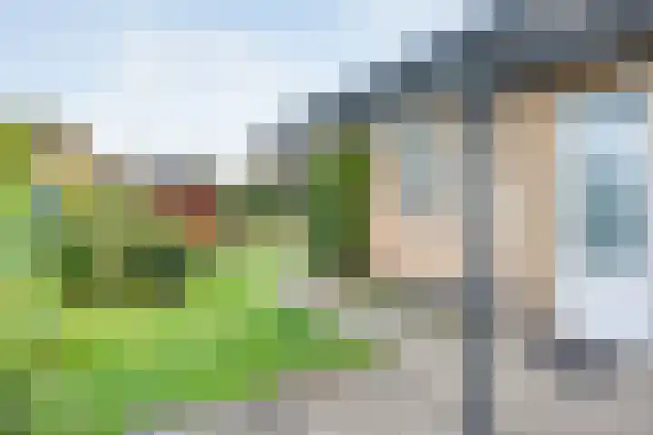 Dokter Christiaansplein 15 Dalen thumbnail 25