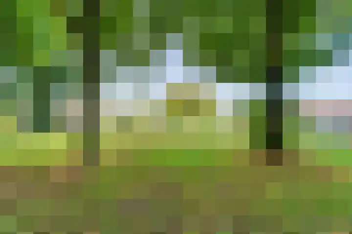 Dokter Christiaansplein 15 Dalen thumbnail 27