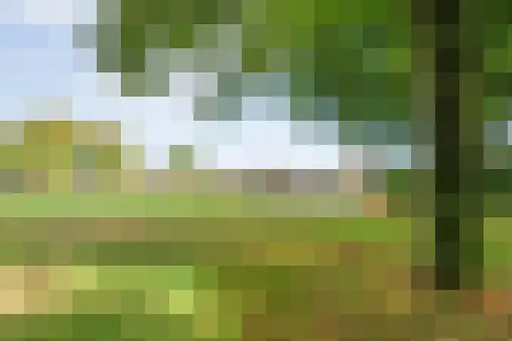 Dokter Christiaansplein 15 Dalen thumbnail 28