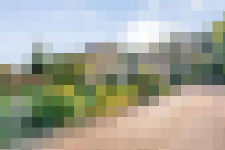 Dokter Christiaansplein 15 Dalen thumbnail 4