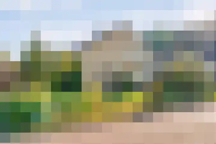 Dokter Christiaansplein 15 Dalen thumbnail 5
