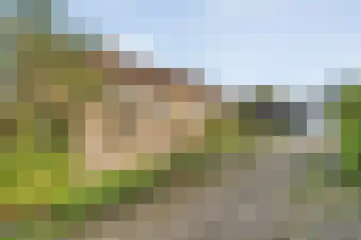 Dokter Christiaansplein 15 Dalen thumbnail 6