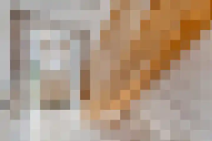 Dokter Christiaansplein 15 Dalen thumbnail 7