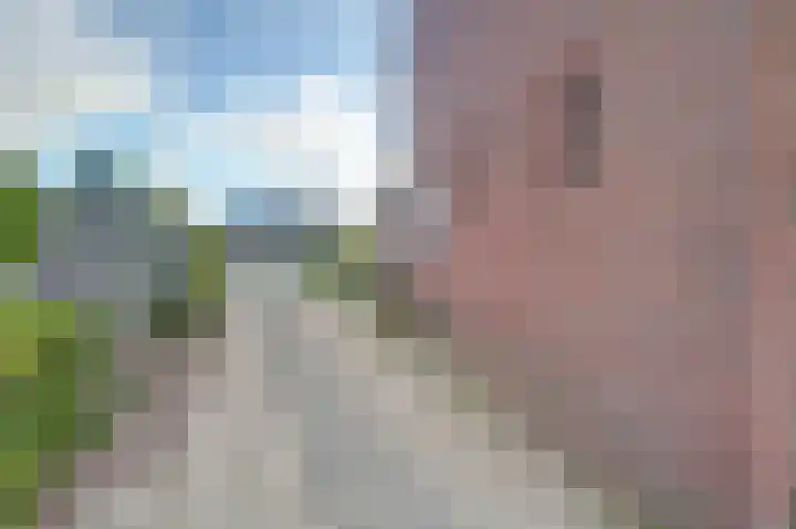 Dokter Christiaansplein 6 Dalen thumbnail 27