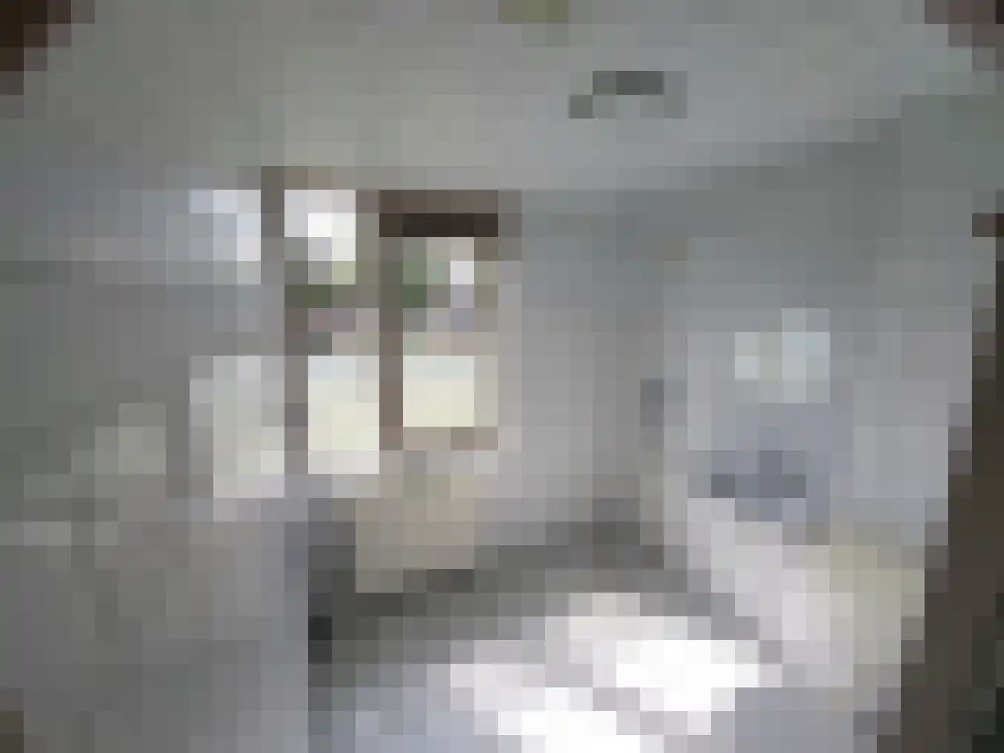 Dokter d'Arnaudstraat 13 Andijk thumbnail 15