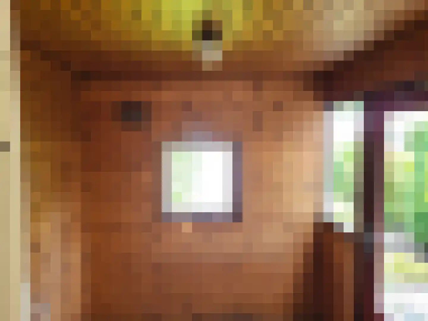 Dokter d'Arnaudstraat 13 Andijk thumbnail 9
