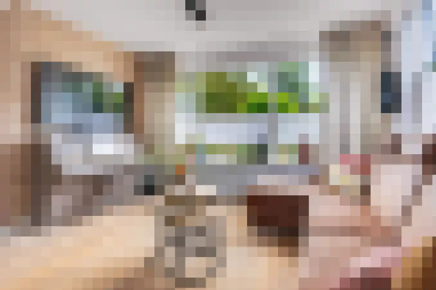 Dokter d'Arnaudstraat 8 Andijk thumbnail 10