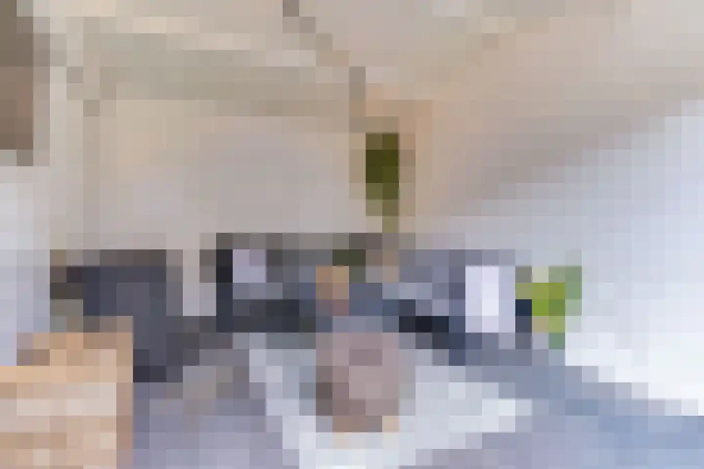 Dokter d'Arnaudstraat 8 Andijk thumbnail 26