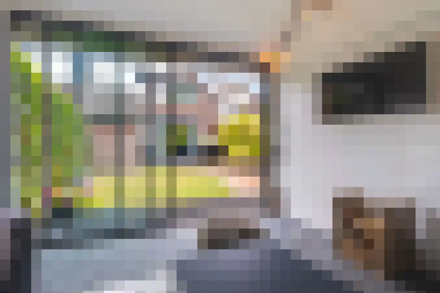 Dokter d'Arnaudstraat 8 Andijk thumbnail 27